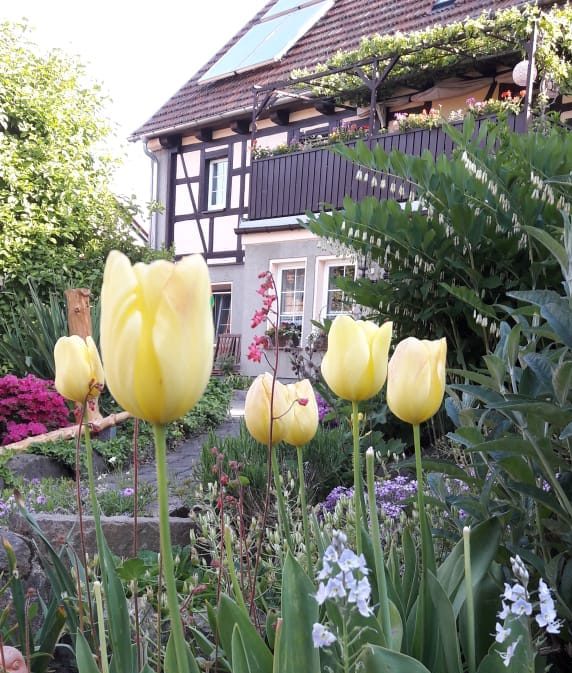 Ferienwohnung Herzogswalde